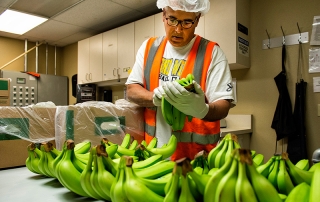 Port of Hueneme Employee doing a Banana Check