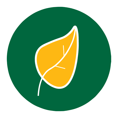 A yellow leaf icon with a white outline and veins is centered on a dark green circular background, symbolizing modernization.
